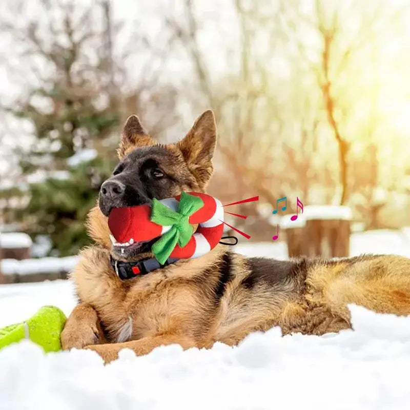 Candy Cane Chew Toy Anti-bite Pet Chewing Toy Christmas Dog Toy Dog Chewing Toys Dog Plush Toys Candy Cane Squeaky Toys Pet