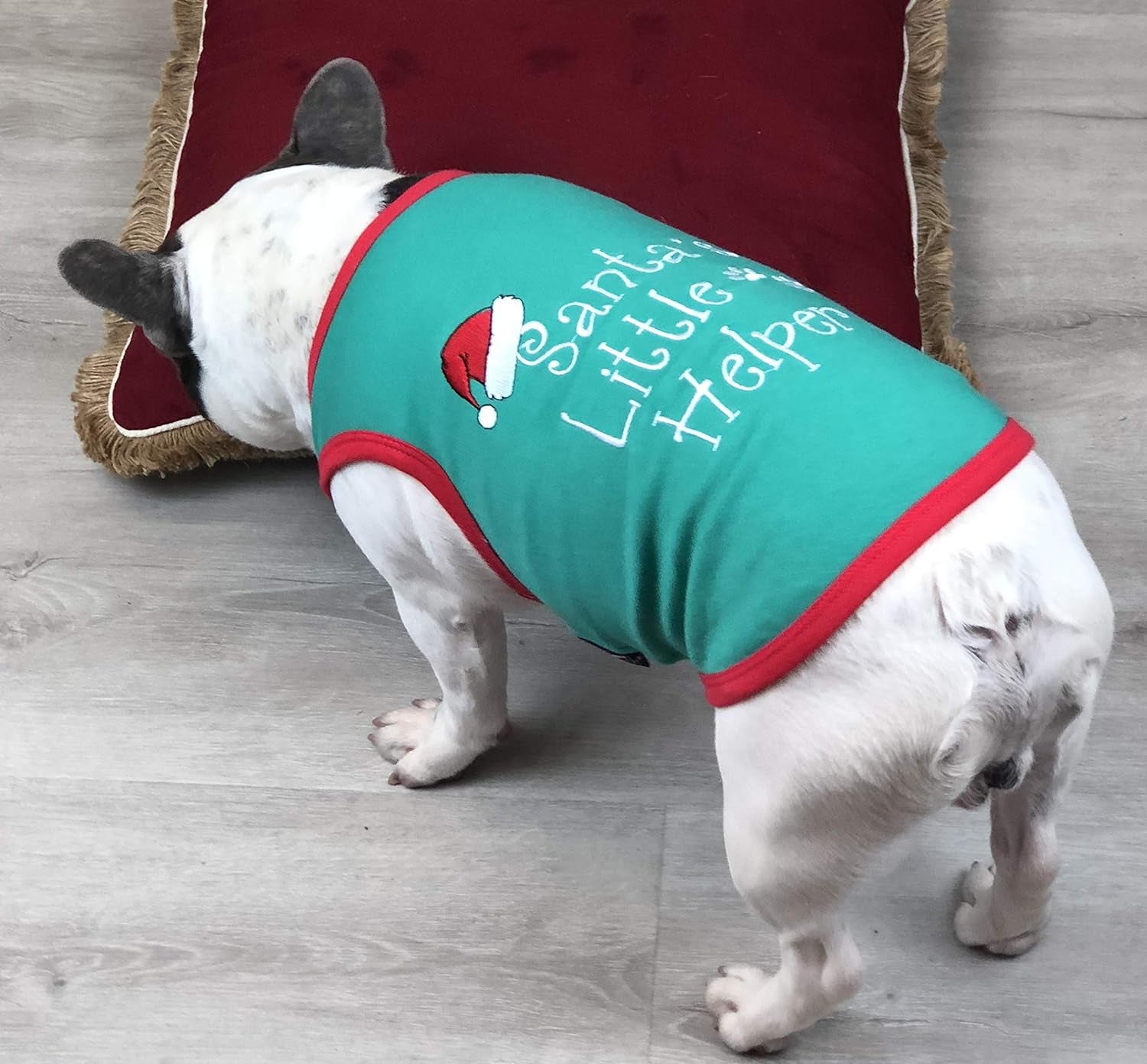 Funny Christmas Holiday Dog Cat Pet Shirts Tee Tanks - Naughty or Nice, Santa Outfit, Elf Size, Santa'S Helper, Sorry Santa I Ate Your Cookies (Santa'S Little Helper, XS)